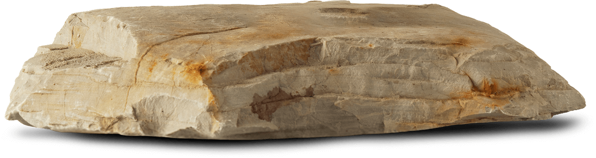 Image of Lomacasa Homepage tw by 48